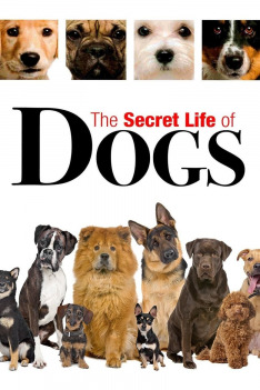 Tajný život psov