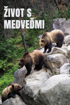 Život s medveďmi