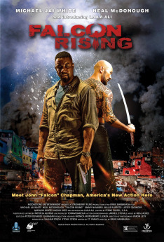 Falcon Rising