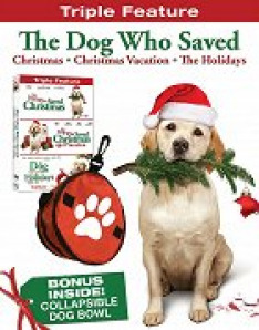Pes, který zachránil Vánoce